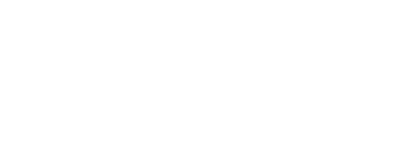 Bird2